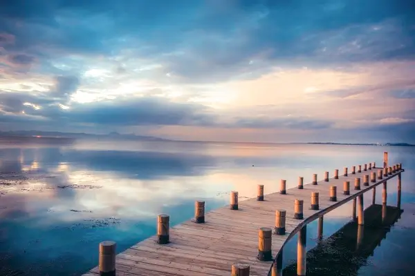 上海保利公司介绍